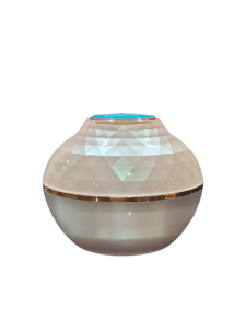 Crème visage Shiny+